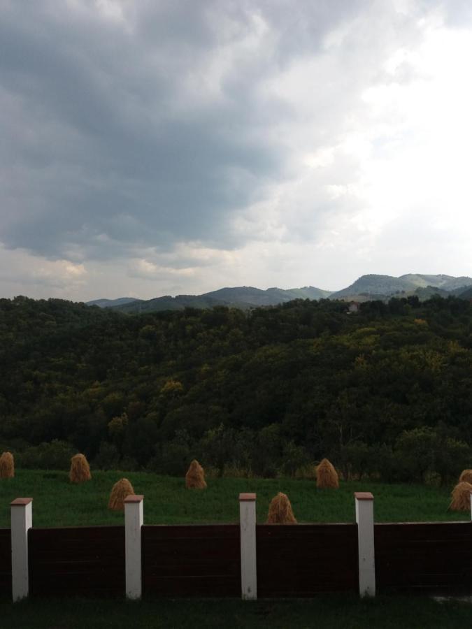 Vila Aloman Себеш Екстер'єр фото