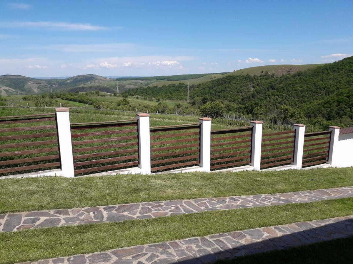 Vila Aloman Себеш Екстер'єр фото